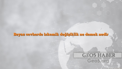 Beyaz cevherde iskemik değişiklik ne demek nedir