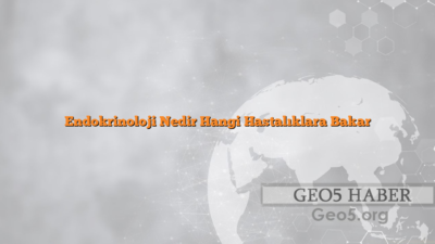 Endokrinoloji Nedir Hangi Hastalıklara Bakar
