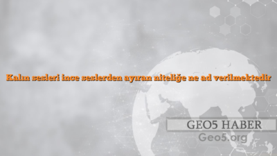 Kalın sesleri ince seslerden ayıran niteliğe ne ad verilmektedir