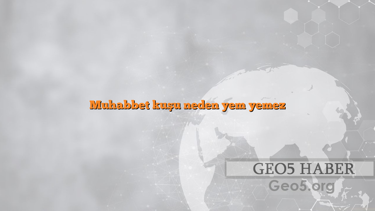 Muhabbet kuşu neden yem yemez