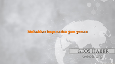 Muhabbet kuşu neden yem yemez